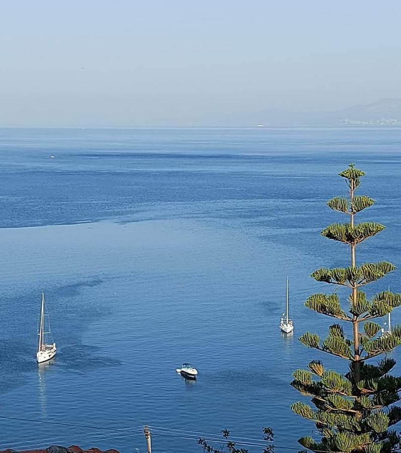 Mesonisi με υπέροχη θέα στον παγασητικό!! *